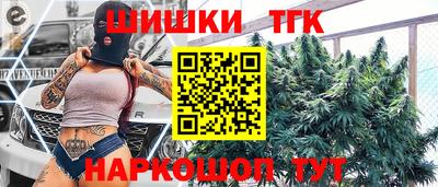 jwh Кингисепп