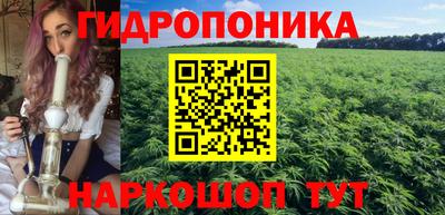 jwh Кингисепп