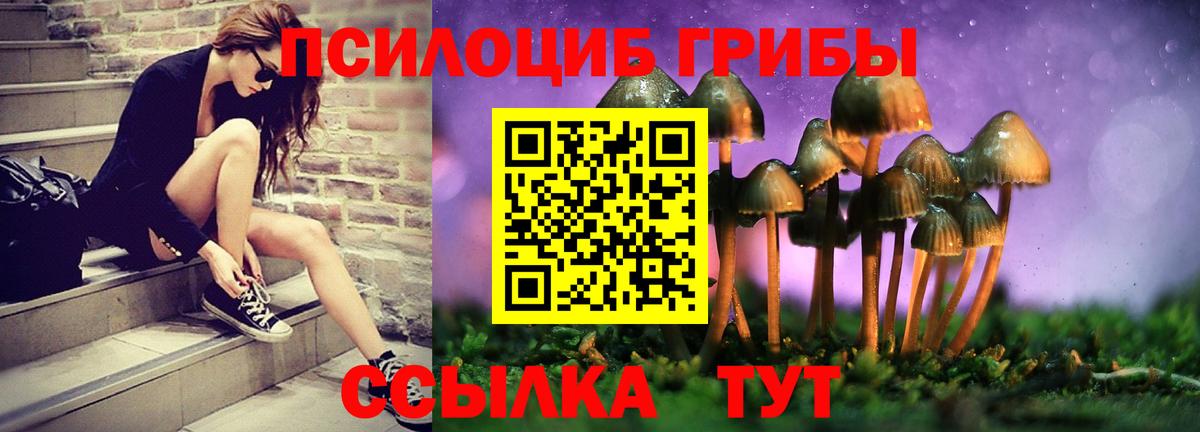 Псилоцибиновые грибы MAGIC MUSHROOMS  Вход с VPN  Галлюциногенные грибы Psilocybine cubensis  Курчалой 